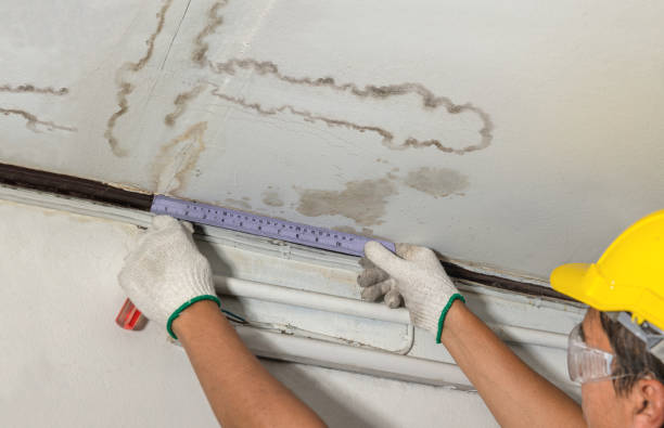 Affordable Ceiling Water Damage Repair solutions in Cherry Valley, IL